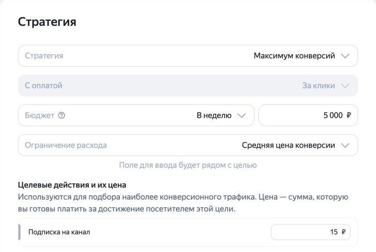 Стратегия «Максимум конверсий» с оплатой за клики, бюджет 5 000 рублей в неделю и цель «Подписка на канал» с ценой 15 рублей