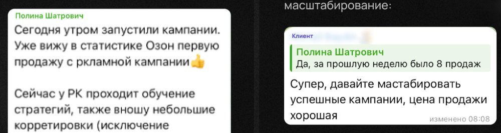 Переписка: первые продажи на Ozon